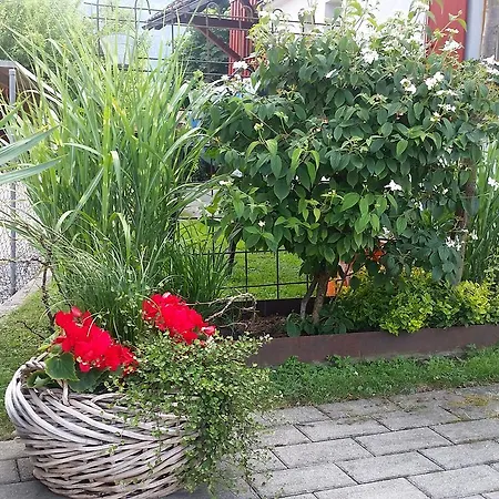 Lägenhet Lilly Dornbirn